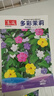 【虧本沖量】紫茉莉花種子春季防叮茉莉花陽(yáng)臺庭院盆栽五彩香茉莉 紫茉莉種子 3包約90粒 曬單實(shí)拍圖