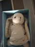 伽百利（Gabriel）毛絨玩具兔子公仔娃娃女孩生日禮物小兔子送女生安撫玩偶 W3101瑪格麗特40cm 送禮盒 1 曬單實(shí)拍圖