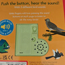 英文原版 Listen to the Birds 小鳥(niǎo) 小小音樂(lè )廳 紙板觸摸發(fā)聲書(shū) 啟蒙認知繪本 大嘴鳥(niǎo)Nosy Crow Listen to the Birds 英文原版 曬單實(shí)拍圖