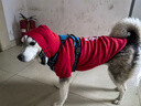 Lanswood 狗狗衣服拉布拉多金毛大型犬小型犬泰迪柯基柴犬狗衣服中大型犬 紅衣-中國年獸 6X建議40斤左右 曬單實(shí)拍圖