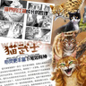 貓武士八部曲5 風(fēng)霜蔽目 兒童動(dòng)物小說(shuō)中小學(xué)生課外閱讀書(shū)必讀貓武士系列原版成長(cháng)動(dòng)物小說(shuō)故事書(shū) 曬單實(shí)拍圖