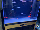 漢霸魚(yú)缸客廳2026新款家用客廳落地底濾一體超白玻璃大型金魚(yú)缸水族箱 金+黑 靠墻100x40x155cm 曬單實(shí)拍圖