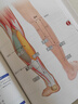 【正版新書(shū)】現貨 3D經(jīng)絡(luò )穴位圖解 書(shū)中收納十二正經(jīng)腧穴、任督二脈腧穴、經(jīng)外奇穴共400多個(gè)，解剖圖示與真人取穴精準對照，精準呈現穴位位置！ 曬單實(shí)拍圖