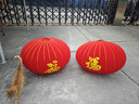 新新精藝大紅燈籠2個(gè)新年裝飾燈籠大門(mén)掛的2026春節布置陽(yáng)臺福字宮燈150# 曬單實(shí)拍圖