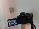 佳能 Canon 700D 650D 600D 入門(mén)級高清旅游數碼二手單反相機 750D+18-135 STM 【wifi套機】 99成新 曬單實(shí)拍圖