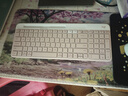 羅技（Logitech）時(shí)尚系列 K580 鍵盤(pán) 藍牙鍵盤(pán) 辦公鍵盤(pán) 無(wú)線(xiàn)鍵盤(pán) 便攜超薄鍵盤(pán) 筆記本鍵盤(pán) 平板鍵盤(pán)  茱萸粉 曬單實(shí)拍圖