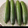 京鮮生 山東荷蘭水果黃瓜凈重5斤 單果70g+ 健康輕食早餐 源頭直發(fā) 曬單實(shí)拍圖