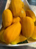 傾睦海南小臺農芒果 現摘甜心小臺芒雞蛋芒核小香甜新鮮當季熱帶水果 9斤 精選特大果【單果120-200g】需催熟 曬單實(shí)拍圖
