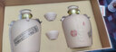 敘府老酒 陶藏 五糧濃香型白酒 原漿酒壇裝酒 純糧食酒 送禮酒 52%vol 500mL 2瓶 禮盒裝 曬單實(shí)拍圖