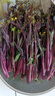 新鮮紅菜苔湖北露天種植香甜爽脆農家蔬菜芯生鮮蔬菜沙拉火鍋食材 凈重5斤（一次吃到爽） 曬單實(shí)拍圖