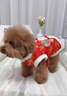 阿莫爾小狗狗衣服中式新年龍袍加厚冬裝小型犬博美泰迪寵物貓咪盤(pán)扣唐裝 【富貴紅】刺繡盤(pán)扣龍袍 S 曬單實(shí)拍圖