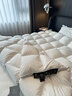 波蘭進(jìn)口羽絨被98%白鵝絨靜音保暖高檔七星級酒店鵝絨空調被芯 太空白【100%鵝絨+會(huì )員禮袋】 200*230【6斤】秋冬款 曬單實(shí)拍圖