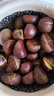 丹東板栗新鮮當季東北特產(chǎn)野生錐栗大果甜糯毛栗子現摘整箱包郵 大果【送剝栗神器】產(chǎn)地直發(fā)3斤裝 曬單實(shí)拍圖