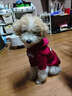 TMJD MISS寵物狗狗衣服小型犬雪納瑞泰迪博美秋冬連帽可愛(ài)加絨加厚衣服冬季 酒紅色【加絨加厚】 XL【建議體重8-13斤】 曬單實(shí)拍圖
