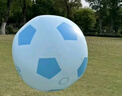 外彩充氣足球兒童戶(hù)外草坪玩具親子互動(dòng)道具水上沙灘球巨型超大足球 加厚-飛馳藍【直徑60cm】+手拉泵 曬單實(shí)拍圖