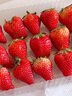 山姆大叔金獎草莓新鮮草莓【JD多地次日達】水果紅顏草莓大涼山草莓禮盒 3斤【超值裝-80%選】?jì)?.4斤* 【甜度加倍-80%選】口碑優(yōu)選果 13-18g 曬單實(shí)拍圖
