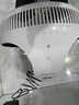 巴慕達空氣循環(huán)扇直流變頻遙控電風(fēng)扇臺式家用小型風(fēng)扇節能對流柔風(fēng)靜音臥室桌面排風(fēng)換氣趴地扇新年 EGF-3390-WK 曬單實(shí)拍圖