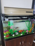 松寶中大魚(yú)缸客廳家用落地懶人生態(tài)免換水帶柜子一體自循環(huán)金魚(yú)水族箱 80CM魚(yú)缸(含顯示屏)+造景+木柜 曬單實(shí)拍圖