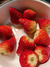 【產(chǎn)地直采】丹東紅顏草莓大果500g 單果18g+ 曬單實(shí)拍圖