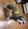 POPOCOLA小狗狗衣服羽絨秋冬季泰迪比熊雪納瑞小型犬寵物保暖棉服冬裝 可牽引馬甲棉服【軍綠】 XL【建議12-16斤】 曬單實(shí)拍圖