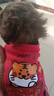 寵物衣服秋冬保暖防掉毛狗狗貓咪小型犬加絨新款兩腳衣服泰迪小狗 紅色【日富一日】 S【建議2-4斤】 曬單實(shí)拍圖