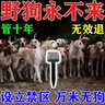 超聲波驅狗止吠器大功率防狗近身神器室外長(cháng)效專(zhuān)用防狗亂尿狗咬叫 3個(gè)裝【萬(wàn)米無(wú)惡狗】超聲波驅狗 曬單實(shí)拍圖