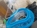 烏龜缸帶曬臺塑料養龜家用缸寵物龜小型手提家用盒子帶蓋飼養容器 天窗手提缸小號哆唻藍裸缸 曬單實(shí)拍圖