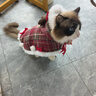 嬉皮狗（hipidog）貓咪衣服秋冬季加厚保暖格子圣誕牽引披風(fēng)貓咪狗狗寵物衣服圣誕節 德羅紅 L （建議體重8-12斤） 曬單實(shí)拍圖