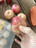 陜洛長(cháng)峰洛川蘋(píng)果 紅富士 2025新果天然新鮮不打蠟 可帶皮吃 產(chǎn)地直發(fā) 凈重4.5斤70mm（新客試吃） 曬單實(shí)拍圖