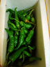 郁州香果湖南樟樹(shù)新鮮小辣椒10斤正宗應當季原產(chǎn)地蔬菜青港椒薄皮岳陽(yáng)順豐 500g【B款】順豐京東發(fā)貨 曬單實(shí)拍圖