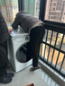 LG容慧大容量洗烘套裝13KG全自動(dòng)滾筒洗衣機+10KG雙變頻烘干機 360°速凈噴淋 FCV13G4W+RH10V9AV4W 曬單實(shí)拍圖