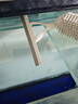 蘇力達玻璃刮擦玻璃神器擦窗器地板刮水器高層清潔多功能玻璃清潔工具 曬單實(shí)拍圖