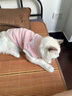 智宙貓咪衣服保暖秋冬季布偶貓背心絨衣寵物小型犬狗狗小貓幼貓防掉毛 高品質(zhì)兔毛絨-粉色 L (6-9斤內) 曬單實(shí)拍圖