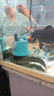 魚(yú)巨匠魚(yú)缸潛水泵底吸水循環(huán)抽水泵過(guò)濾器超靜音小型換水泵底吸泵低水位 30W抽水泵-帶水管適合60-80cm魚(yú)缸 曬單實(shí)拍圖