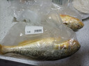 產(chǎn)地直采寧德冰鮮黃花魚(yú)400g-500g/條 曬單實(shí)拍圖