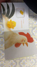 【點(diǎn)讀版】小雞球球觸感玩具書(shū) 成長(cháng)繪本系列全5冊  嘰嘰嘰你好立體觸摸發(fā)聲洞洞認知雞寶寶的故事嬰兒?jiǎn)⒚?-2-3歲小雞球球豚小蒙點(diǎn)讀筆配套繪本 和小雞球球一起玩：全6冊（點(diǎn)讀版） 曬單實(shí)拍圖