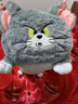 貓和老鼠（Tom and Jerry）抱枕毛絨長(cháng)條睡覺(jué)抱枕女生抱睡公仔靠枕玩偶湯姆貓豪華版65cm 曬單實(shí)拍圖