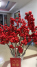 臨雅北美冬青紅果水培植物鮮切枝新年宵花卉室內水養50cm10支源頭直發(fā) 曬單實(shí)拍圖