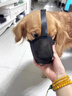 狗狗嘴套防狗咬神器防亂吃口罩泰迪柯基馬犬大中小型犬安全嘴套 狗狗嘴套S碼（建議15-25斤） 曬單實(shí)拍圖