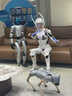 宇樹(shù)（Unitree）Go2 Pro升級版 機器狗 AI大模型 四足機器人 更強大 語(yǔ)音交互  具身智能 仿生陪伴機器人 曬單實(shí)拍圖