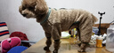PEITE PET狗狗衣服冬季保暖四腳狗衣服寵物泰迪比熊博美小型犬狗衣服可牽引 卡其色 L 【適合8-12斤】 曬單實(shí)拍圖