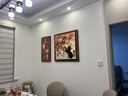 吉祥鹿中古風(fēng)復古餐廳裝飾畫(huà)玫瑰貓咪客廳飯廳背景墻掛畫(huà)高檔大白墻壁畫(huà) A款 25*50/50*50cm 無(wú)框畫(huà)（松木內框） 高清藝術(shù)微噴【優(yōu)質(zhì)油畫(huà)布+光油效果】 曬單實(shí)拍圖