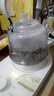 金灶（KAMJOVE）提梁式電茶壺煮茶器 玻璃電熱水壺養生壺保溫一體煮水壺0.8L燒水壺A-66 曬單實(shí)拍圖