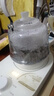 金灶（KAMJOVE）提梁式電茶壺煮茶器 玻璃電熱水壺養生壺保溫一體煮水壺0.8L燒水壺A-66 曬單實(shí)拍圖