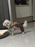OSKV狗狗衣服冬季泰迪比熊衣服加厚小型犬衣服寵物保暖棉衣可牽引四角 棕色小熊【可牽引加絨加厚】 S（建議3-5斤  參考胸圍背長(cháng)） 曬單實(shí)拍圖
