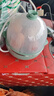 九陽(yáng)（Joyoung）家用煮蛋器 全自動(dòng)防干燒免看管溏心蛋蒸蛋羹蒸蛋器 宿舍用省電小功率多功能蒸玉米南瓜包子早餐機 雙層 淺綠 曬單實(shí)拍圖