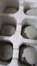 山蕩河“88”牌高郵鴨蛋松花蛋溏心皮蛋變蛋無(wú)鉛工藝涼拌即食特產(chǎn) 松花蛋40-50g6枚嘗鮮裝 曬單實(shí)拍圖
