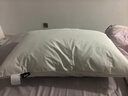 海瀾之家枕頭芯學(xué)生家用一對枕頭護頸椎枕整頭枕心高低枕兒童男士專(zhuān)用枕頭 舒夢(mèng)枕 【全棉高彈 透氣耐壓】 【48*74cm】一對裝 曬單實(shí)拍圖