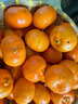 正宗川紅橘新鮮陳皮孕婦水果大紅袍整箱原料重慶老樹(shù)萬(wàn)州古紅桔5 5斤 精選裝 曬單實(shí)拍圖