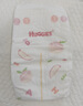 好奇（Huggies）鉑金裝小桃褲紙尿褲M(mǎn)144片(6-11kg)中號尿不濕【透爽散熱】 曬單實(shí)拍圖